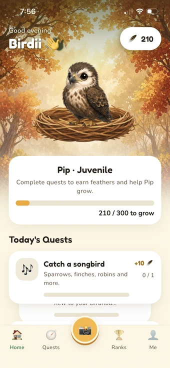 Birdii’s autumn home screen, showing Pip in a nest and quests to explore.